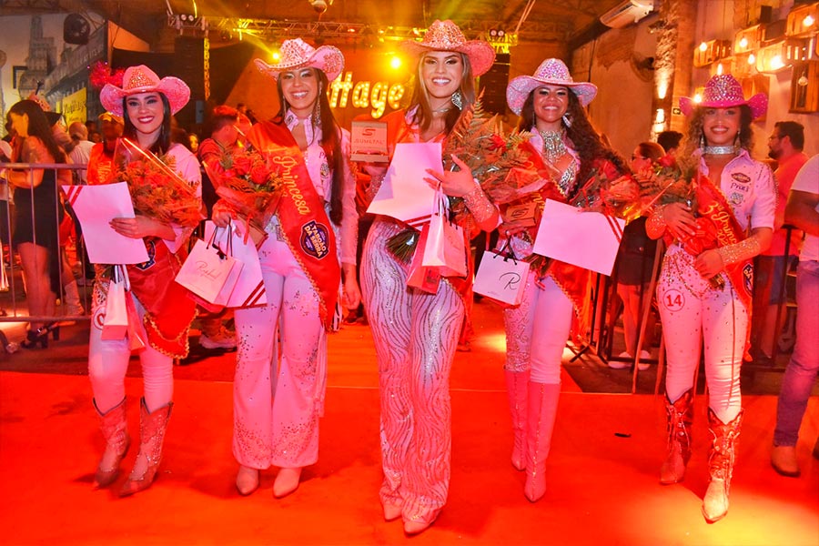 Festa do Peão de Boiadeiro  Governo do Estado de São Paulo